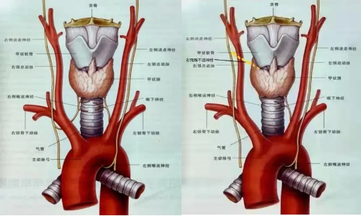 QQ图片20220130091113.png